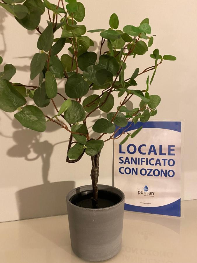 Appartamento Valeriana Dubino Extérieur photo